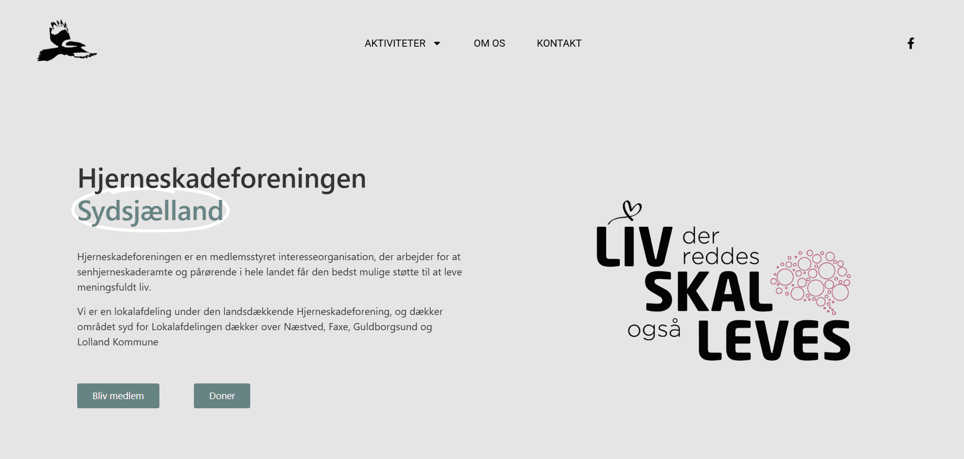 Hjerneskadeforeningen Sydsjælland